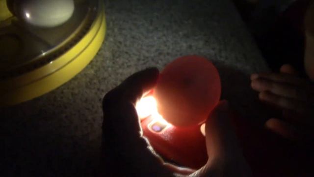 ЧТО ЭТО В ЯЙЦЕ? 6 - 8 ДЕНЬ ИНКУБАЦИИ Brinsea MINI ADVANCE Мини инкубатор МАЛЕНЬКИЙ ИНКУБАТОР НА 7 я смотреть онлайн