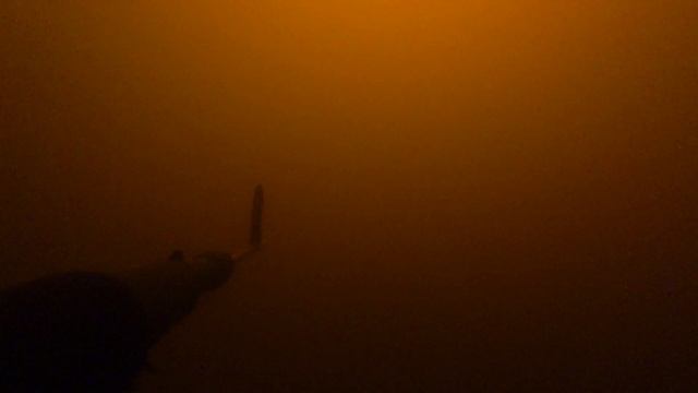 белый амур подводная охота смотреть онлайн