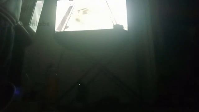 I Spy Spooky Mansion Live Night 3 Find 11 Number Node Ghost Machine and Playing Hide and Seek Ghost смотреть онлайн