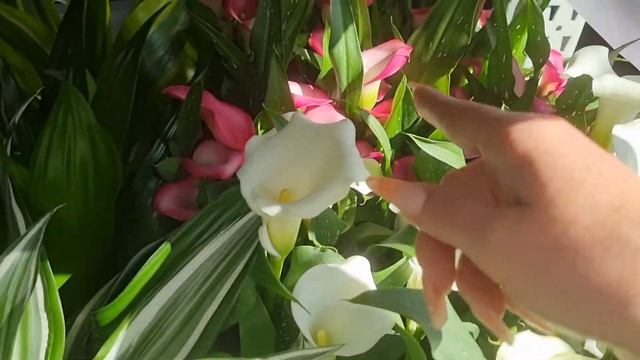 #25 (2022)Влог. прогулка по магазину. Мои любимчики на кухне смотреть онлайн