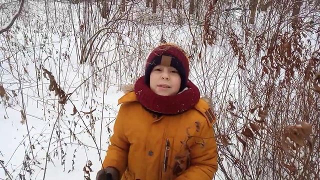 Скороговорка. Однажды галок поп пугая. смотреть онлайн