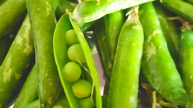 ЯНТАРНЫЙ КАБАЧЁК с молодым ЗЕЛЁНЫМ ГОРОШКОМ в марте 2022 смотреть онлайн