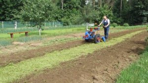 Фрезеровка фацелии и снова посев.