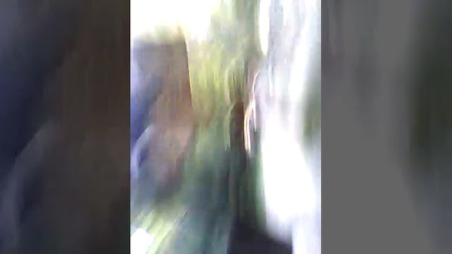 VLOG: Карпаты. Водопад Шипот. смотреть онлайн