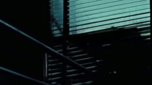 The terminator терминатор