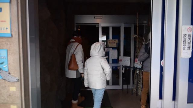 【Vlog】北海道自驾游vlog旭川动物园二世谷滑雪小樽吃生鱼片 | 2023-12 Hokkaido Self-Drive Family Trip Vlog - Niseko / Asahikaw смотреть онлайн
