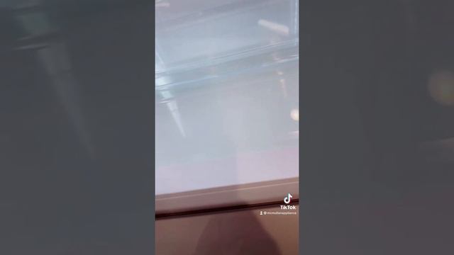 Bosch B36CL80ENS Fridge