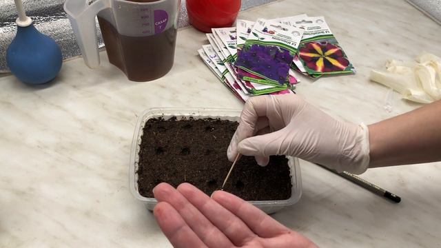 ПОСЕВ ПЕТУНИИ смотреть онлайн