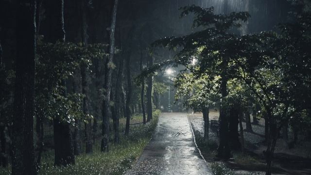 RAIN SOUNDS FOR SLEEPING PART. 2 - Noise Cancelling Sound ASMR