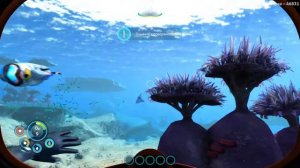 субнатика белов зиро