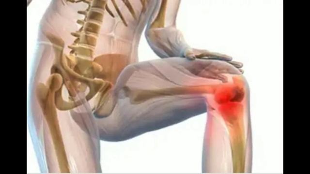 Почему авокадо так полезно? Вся правда о авокадо