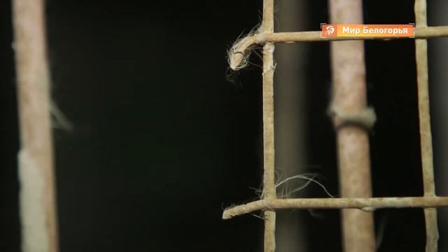 Для чего в подвалах нужен продух смотреть онлайн