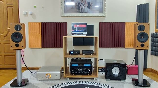 Denon PMA-SX11 + ProAc Response D2R + REL T9X Sound Demo! смотреть онлайн