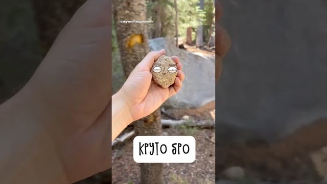 Дружба с камнем по имени Камиль ? смотреть онлайн