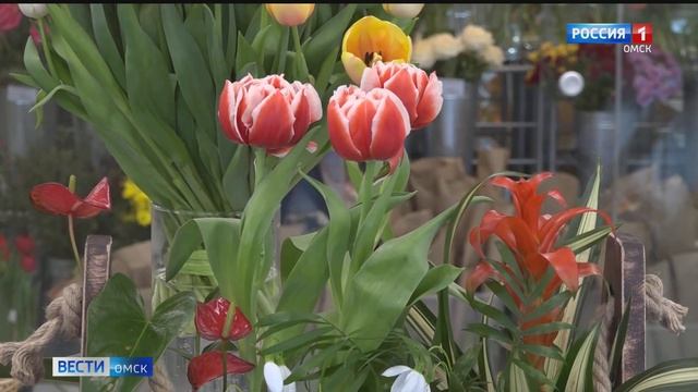 В Омске расцвели тюльпаны смотреть онлайн