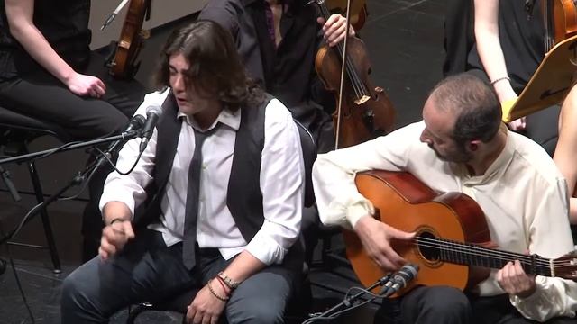 Cuadro flamenco de Mariano Mangas & Orquesta Sinfónica de Burgos - 'Vela Zanetti' (Tangos) смотреть онлайн