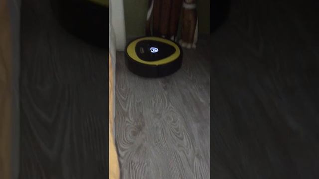 Кёрхер,уборка квартиры.Супер уборщик.Робот пылесос смотреть онлайн