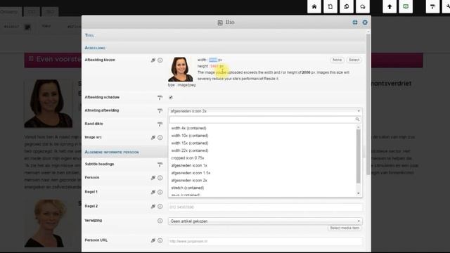 Foto afmetingen instellen in LaLoNi Wordpress thema смотреть онлайн