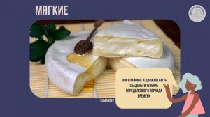 Сыроварение. Занятие 4. «Классификация сыров»