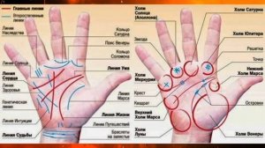 ХИРОМАНТИЯ ДЛЯ НАЧИНАЮЩИХ. ЧТО ЭТО ТАКОЕ? АЗЫ ХИРОМАНТИИ