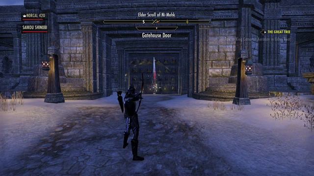 ESO Shinobi's Last Stand (lone Daggerfall Covenant)