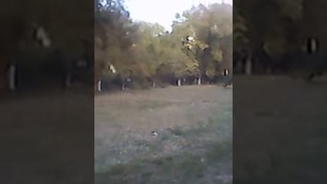 ландшафтный дизайн 2014 смотреть онлайн