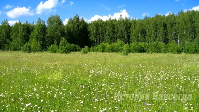 Бывший жених и лучшая подруга решили унизить Вику, пригласив на свою свадьбу, а увидев… смотреть онлайн