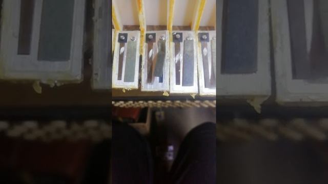гармошка с "авито" сюрпризы, что дальше!? смотреть онлайн