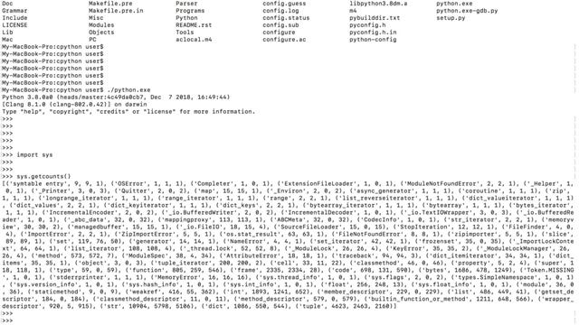 How many objects Python Interpreter Allocate While Executing Script - Interpreter lifetime смотреть онлайн