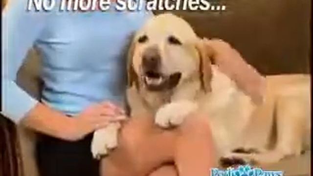 PediPaws - Furminator-shop.ru смотреть онлайн