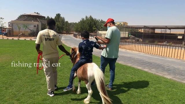 #Ummalquwain #Zoo Hidden Zoo in Umm Al Quwain | Dubai | Umm Al Quwain | Zoo in Dubai смотреть онлайн