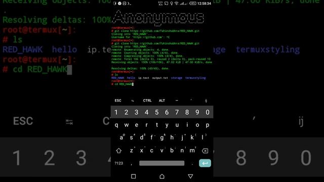 Scanning Websites Using Termux for infomation gathering(RED HAWK) смотреть онлайн