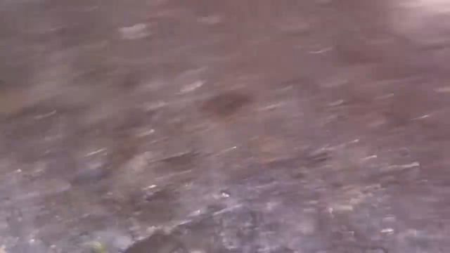 утки смотреть онлайн