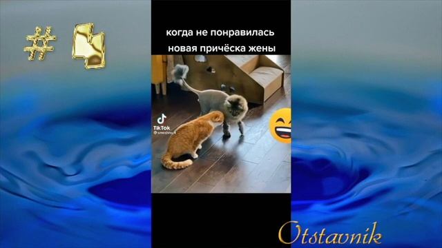 ? ЧУДИКИ ИЗ ТIК ТОК ?Top TikTok