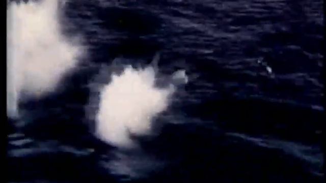 Дельфин - ВЕСНА. Dolphin - Spring , 1942-1945 смотреть онлайн