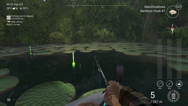 Fishing Planet Amazonian Maze Unique Banded Aracu смотреть онлайн