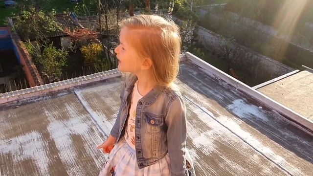 Е.Евтушенко. Птенец (с музыкой) смотреть онлайн