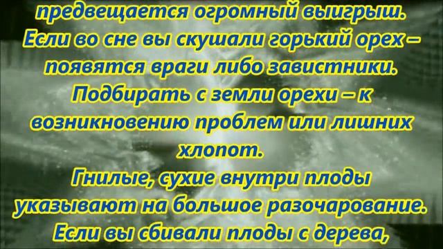 К чему снятся орехи смотреть онлайн