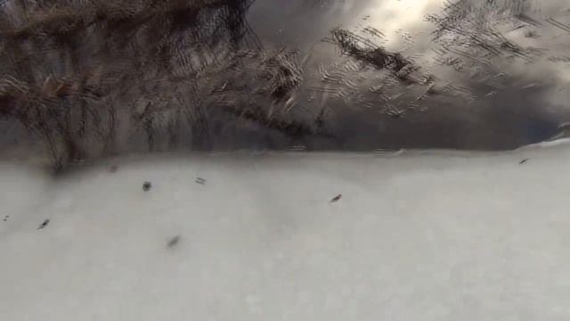Мой пруд зимой! Аэрация пруда! Какой компрессор выбрать! Аномальная погода в Беларуси! смотреть онлайн