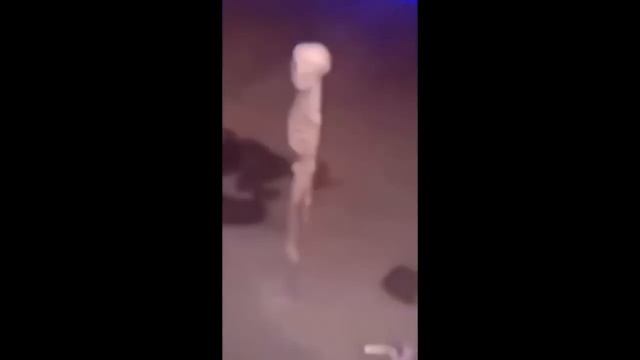 Top 5 Skeletons (reupload)