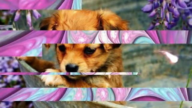 Фиолетовый свет смотреть онлайн