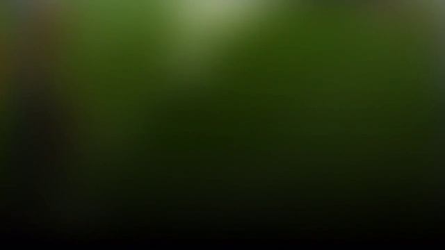 озеро Сергушкино.mpg смотреть онлайн