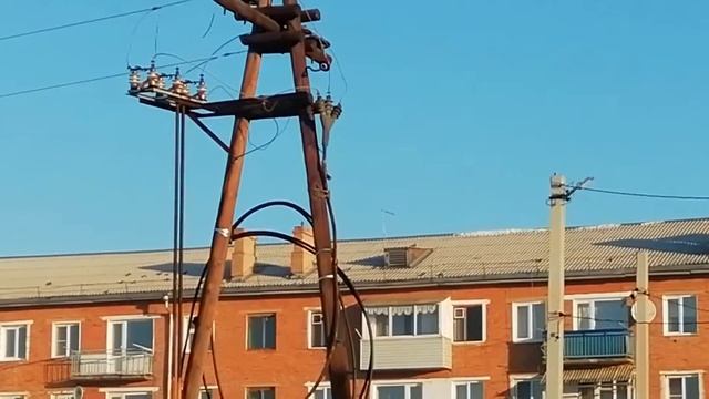 Что происходит? Голуби умирают на лету. смотреть онлайн