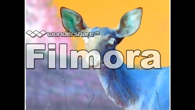 Wild Animal Safari in G Major [Part 1] смотреть онлайн