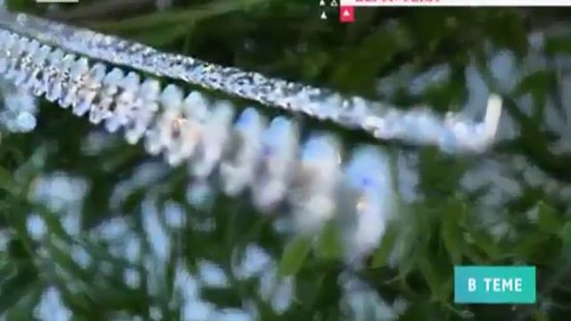 Эрика Герцег - показ Vera Wang смотреть онлайн