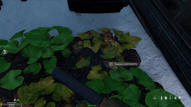 Зимняя Чернорусь DayZ / Часть 7-я / Игровой стрим. смотреть онлайн