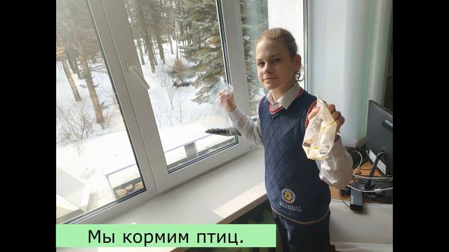 Наша помощь птицам смотреть онлайн