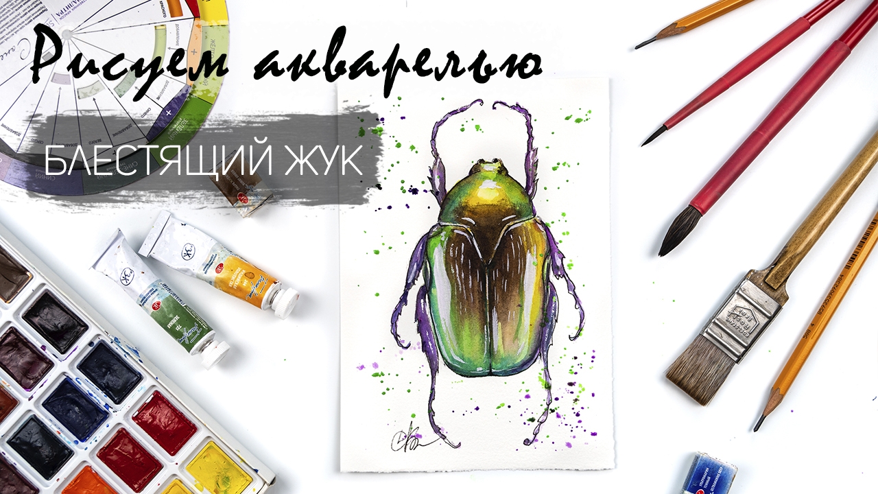 Рисуем блестящего жука-бронзовку. Уроки рисования акварелью. смотреть онлайн