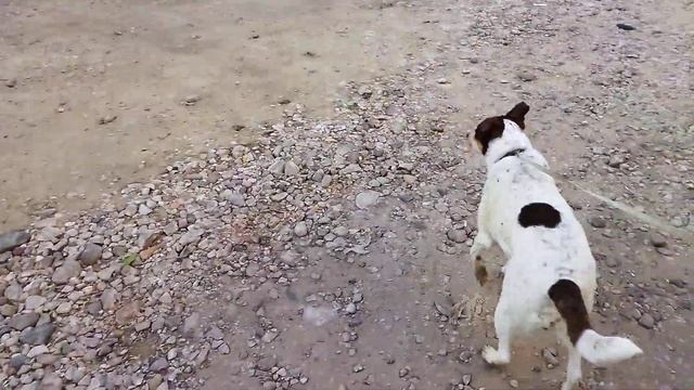 И снова бегу за хлебом, подруге без него ужин не ужин смотреть онлайн