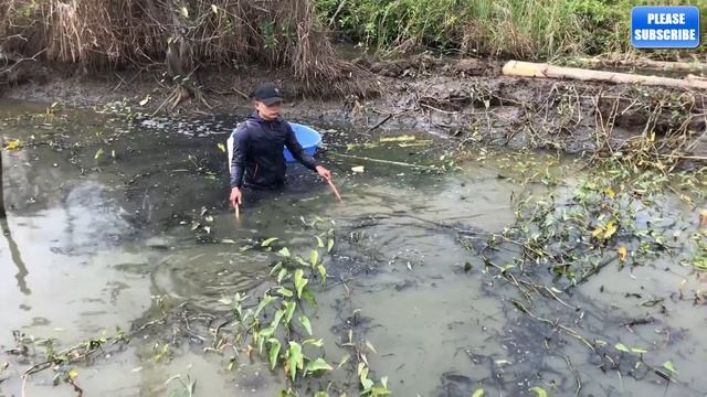 Электричество Рыбалка GIANT Python Змея против Рыбака! смотреть онлайн